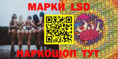 ГАЛЛЮЦИНОГЕННЫЕ ГРИБЫ Бердск