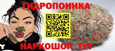 ГАЛЛЮЦИНОГЕННЫЕ ГРИБЫ Бердск